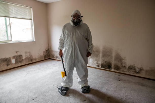 Best Office Mold Removal Services  in Fayette, LA